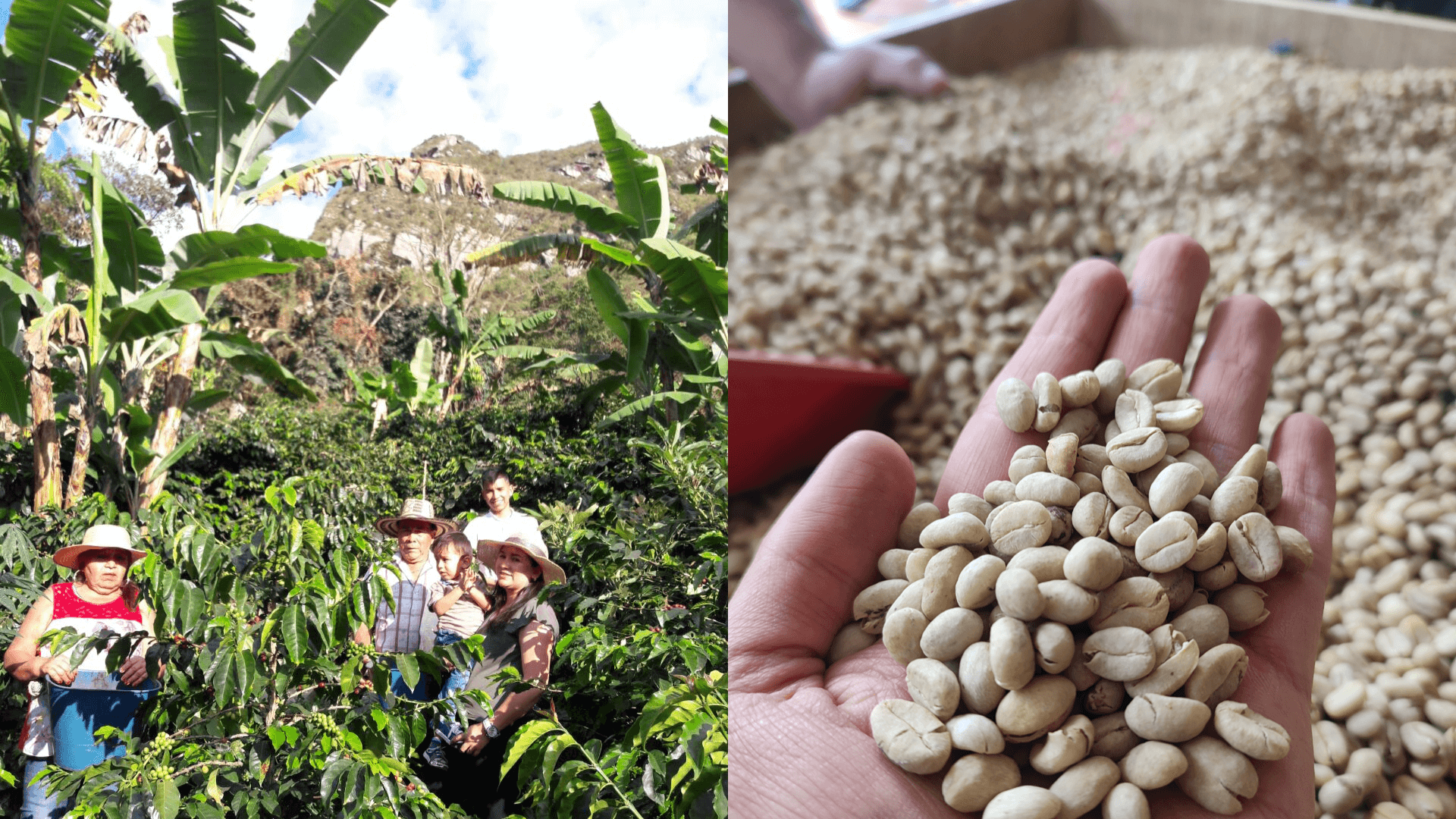 Landscape hero section